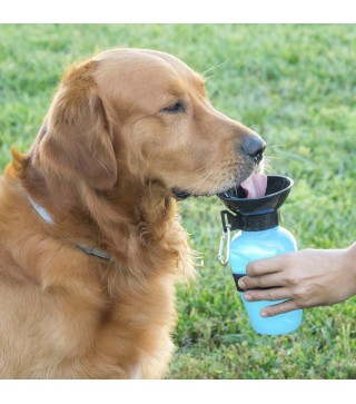 Waterdrinkfles voor Honden InnovaGoods